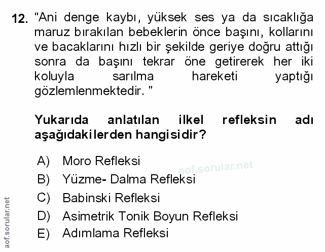 Soru 12
