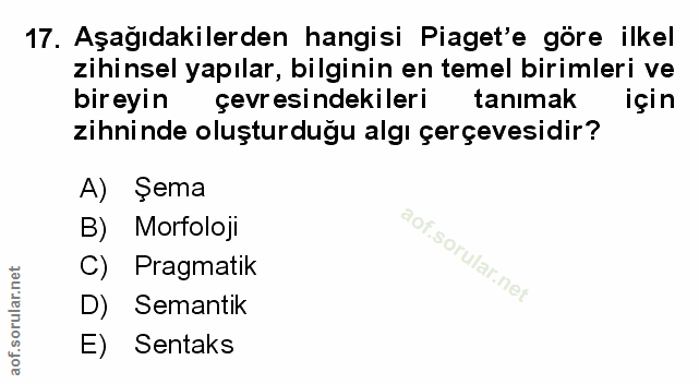Soru 17
