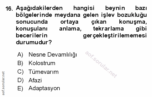 Soru 16