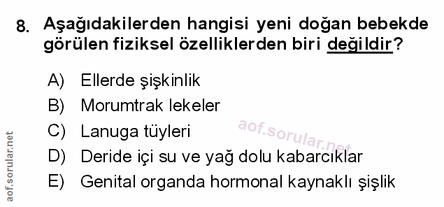 Soru 8
