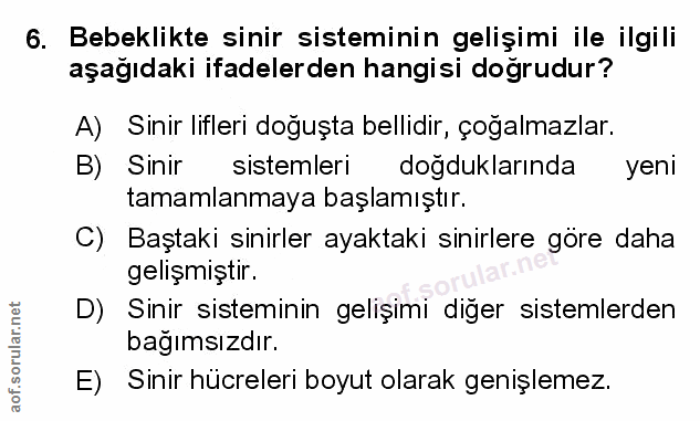 Soru 6