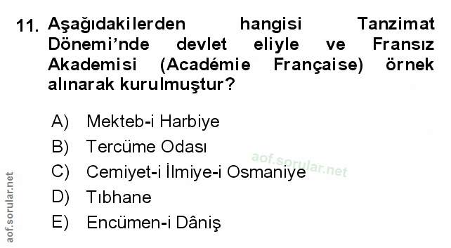 Soru 11