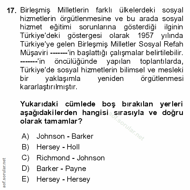 Soru 17