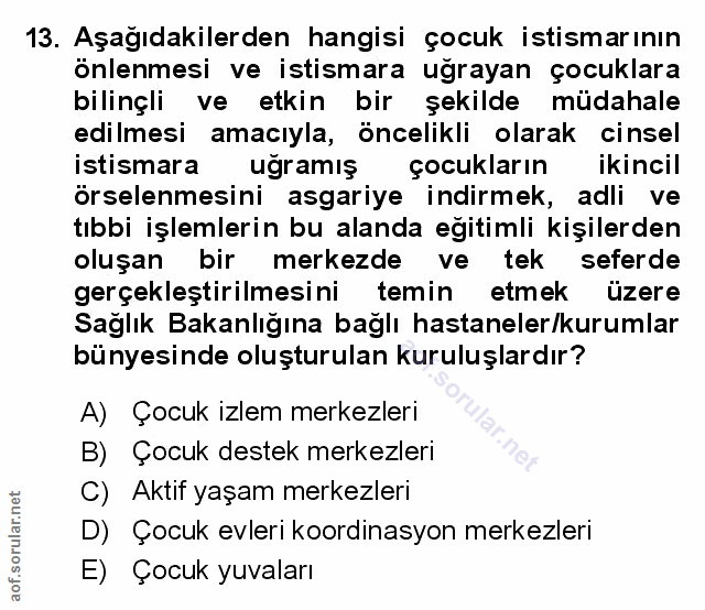 Soru 13