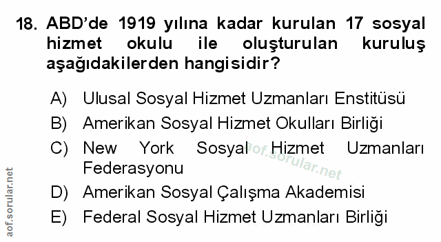 Soru 18