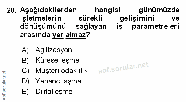 Soru 20