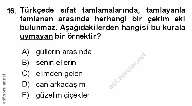 Soru 16
