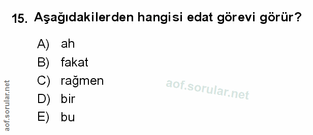 Soru 15