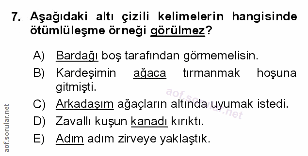 Soru 7