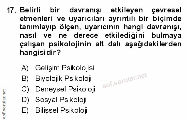 Soru 17