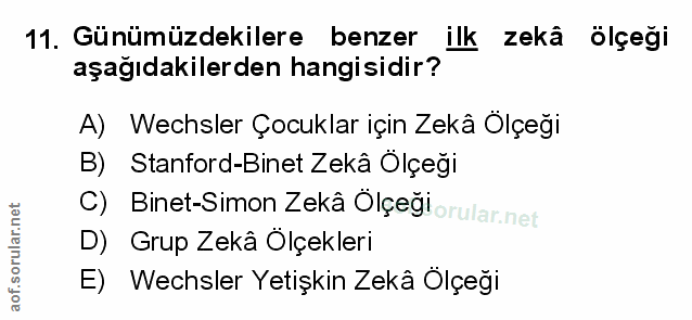 Soru 11