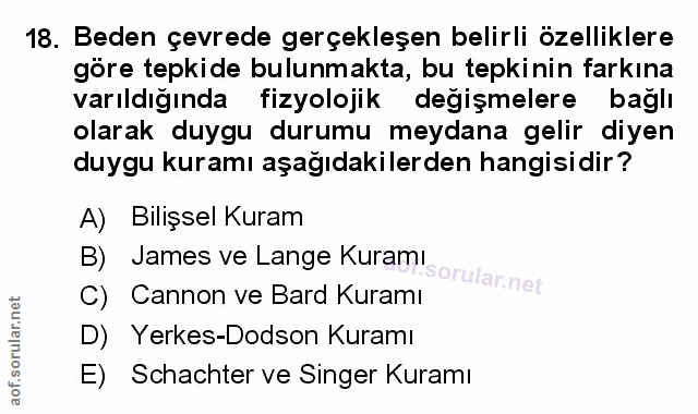 Soru 18