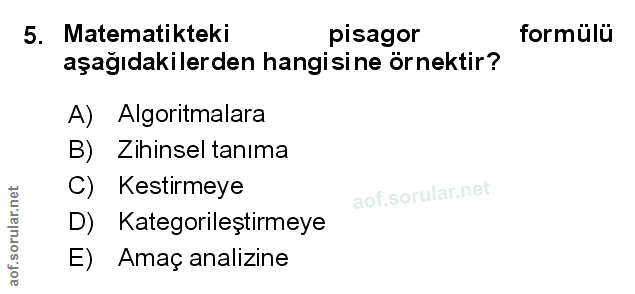 Soru 5