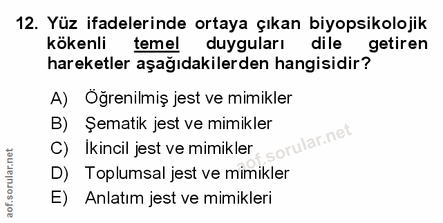 Soru 12