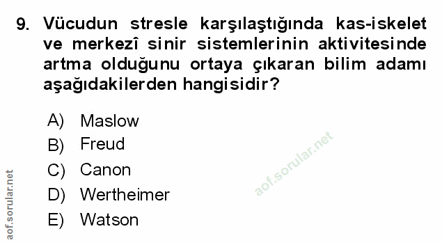 Soru 9