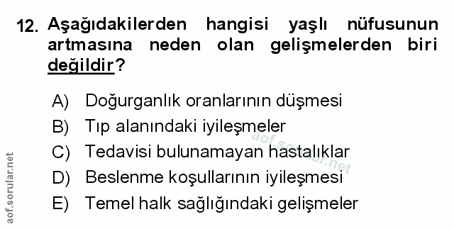 Soru 12