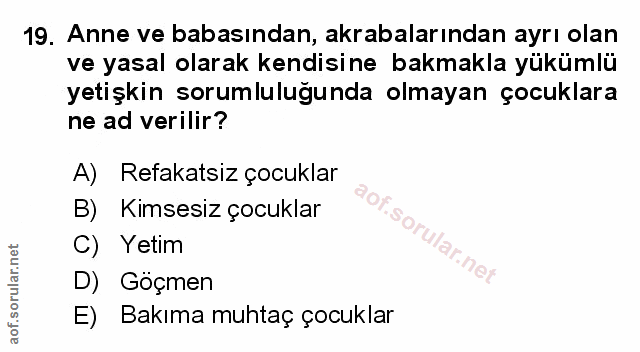 Soru 19