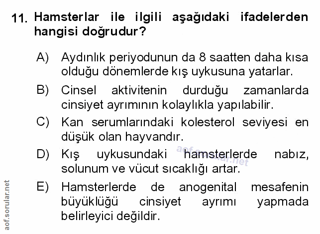 Soru 11