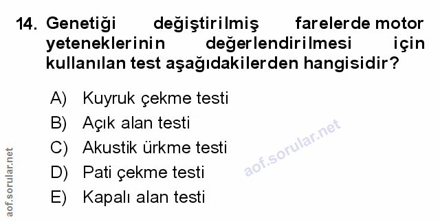 Soru 14