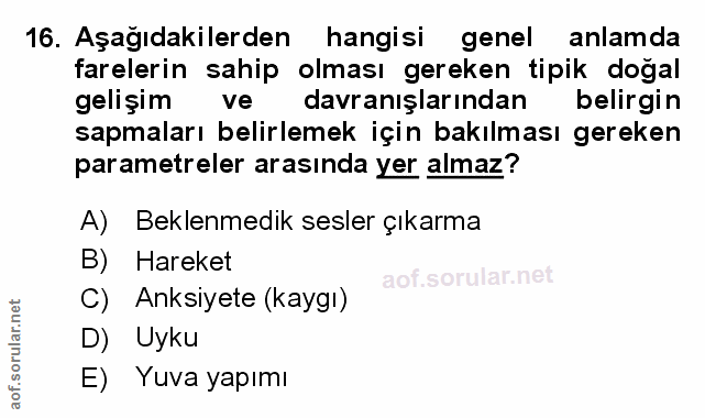 Soru 16