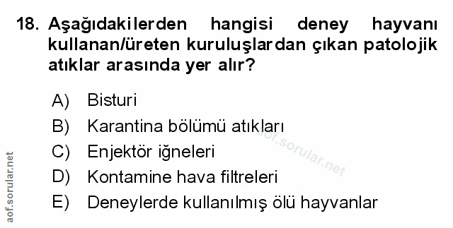 Soru 18