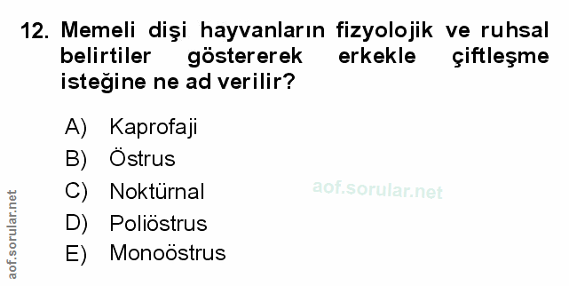 Soru 12