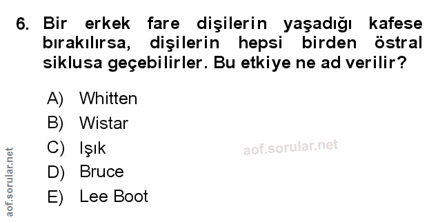 Soru 6