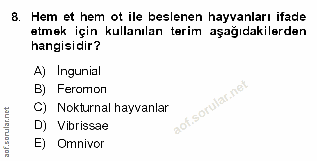 Soru 8
