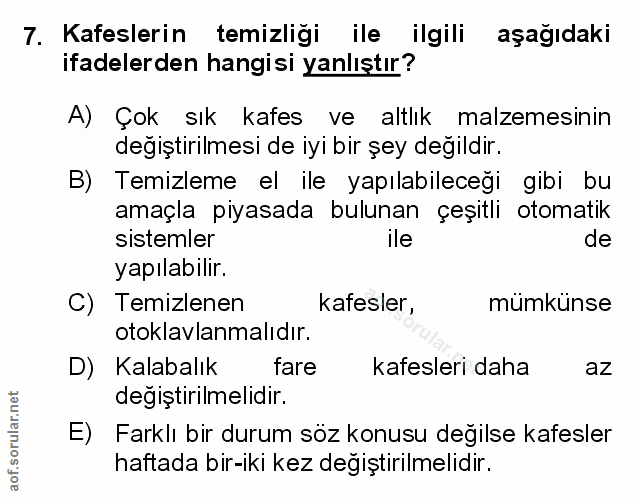Soru 7