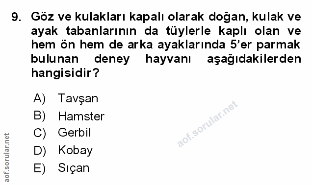 Soru 9