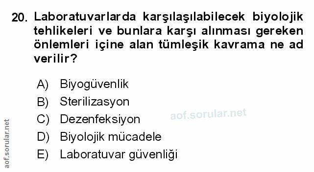 Soru 20