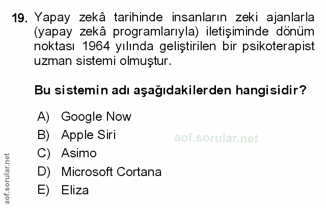 Soru 19