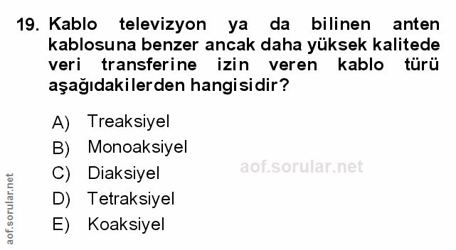Soru 19