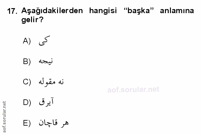 Soru 17