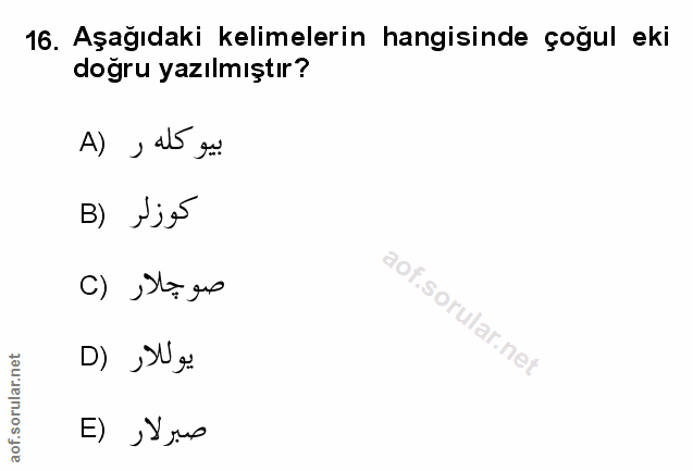 Soru 16
