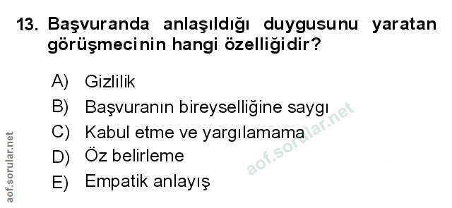 Soru 13