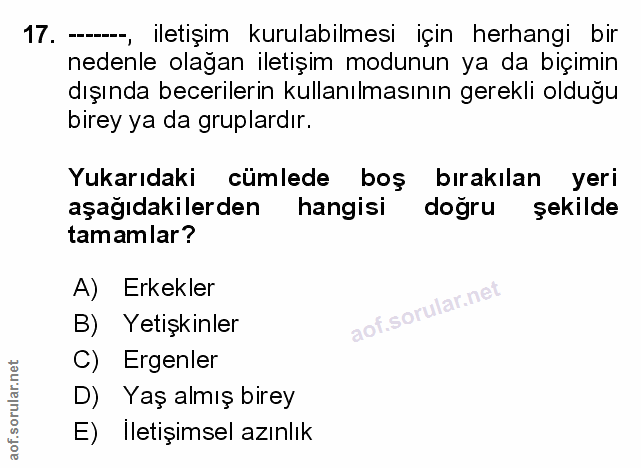 Soru 17