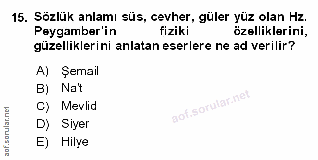 Soru 15