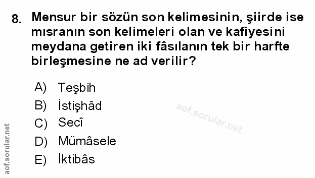 Soru 8