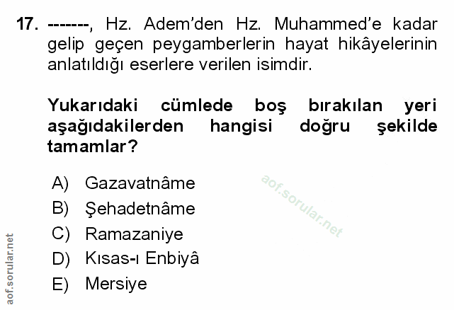 Soru 17