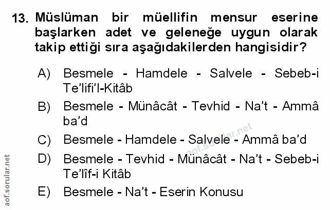 Soru 13