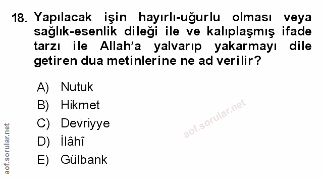 Soru 18