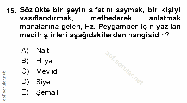Soru 16