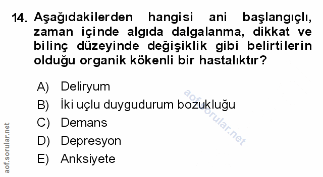 Soru 14