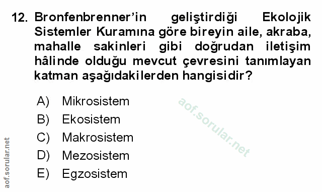 Soru 12