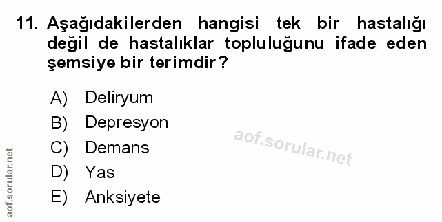 Soru 11