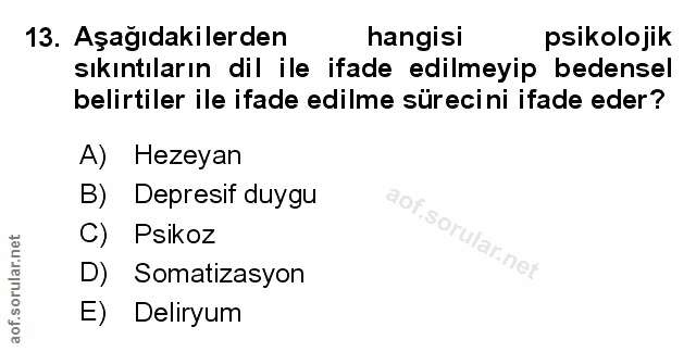 Soru 13