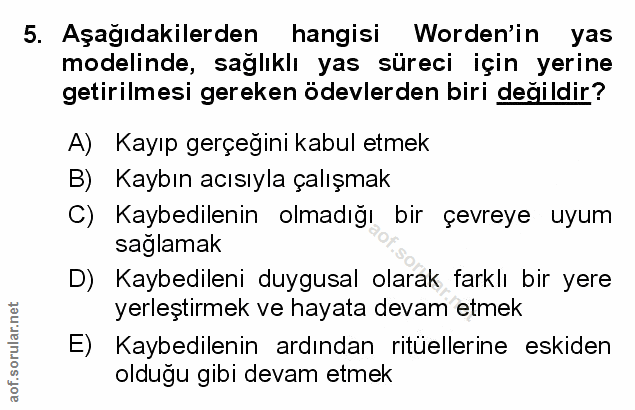 Soru 5