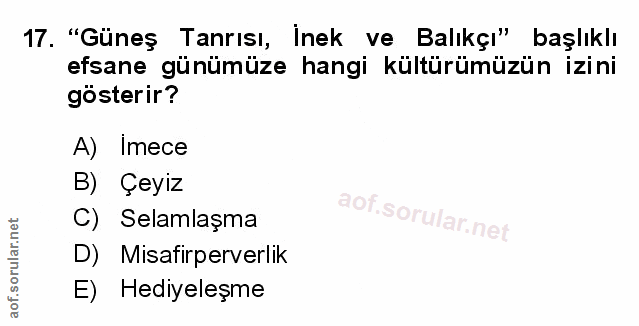 Soru 17