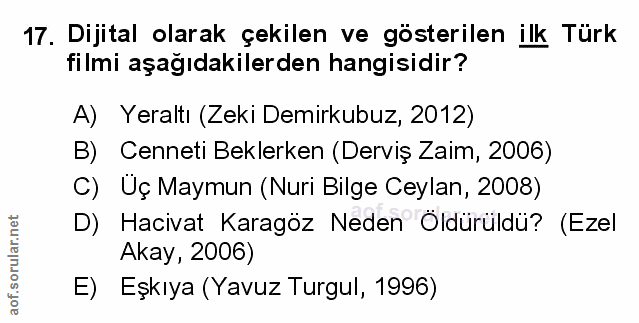 Soru 17